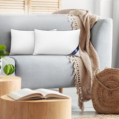Premium Piping Throw Pillows 12x20 (12x20 Inch)