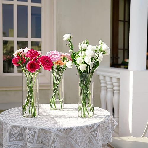 7pcs Glass Cylinder Vases for Centerpieces (7pcs 10"tall vases)