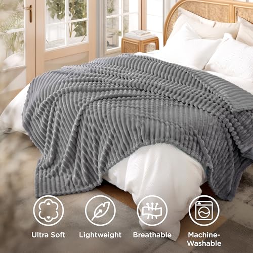 Soft Queen Size Blanket for Bed Frost Gray 90"x90" (Frost Gray / Queen)