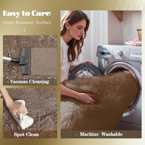 8x10 Area Rugs for Living Room (Coffee / 8' x 10' (Rectangular))