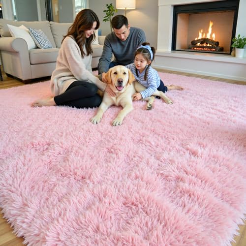 Area Rugs 10x14 for Living Room (Pink / 10' x 14' (Rectangular))
