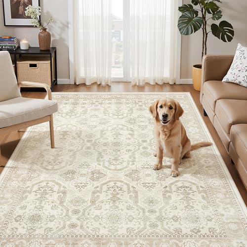 4x6 Area Rug for Living Room (Beige/Brown / 4' x 6' (Rectangular))