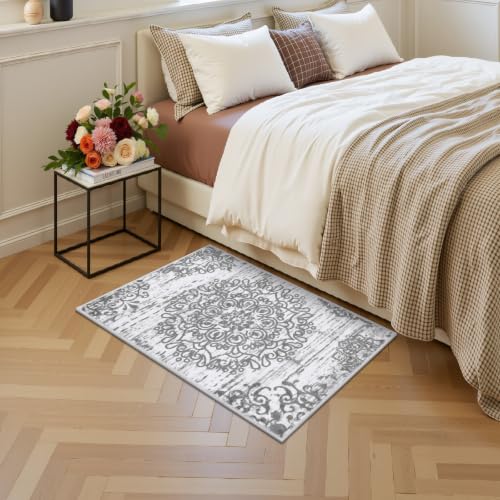 HEBE Indoor Door Mat 2'x3' (Grey / 2' x 3' (Rectangular))
