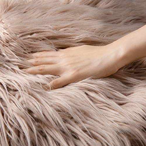 Ashler Faux Fur Rug (2'11" x 2' (Rectangular) / C-beige)