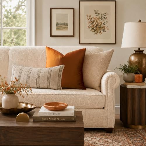 Orange Velvet Pillow Covers 18x18 Decorative Pillows Pack of 2 (Orange / 18" x 18" (Pack of 2))