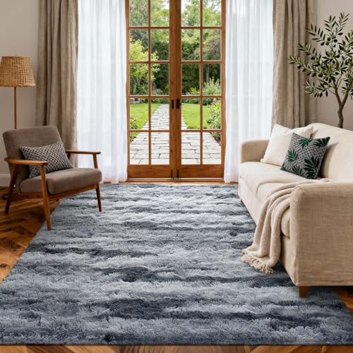 4x6 Ft Shag Rugs for Bedroom Living Room (Dg Grey 4sm02 / 4' X 6' (Rectangular))