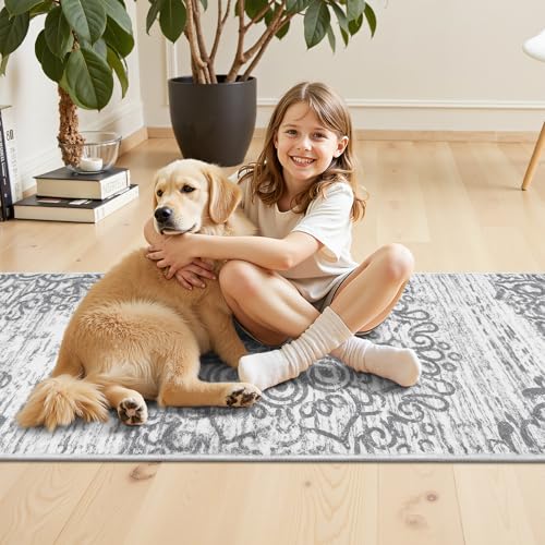 HEBE Hallway Runner Rug 2'x4' (Grey / 2' x 4' (Rectangular))