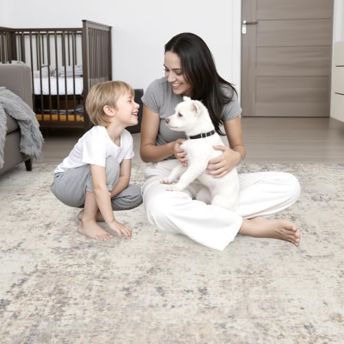 6x9 Area Rug Living Room (Grey Beige Brown / 6' x 9' (Rectangular))