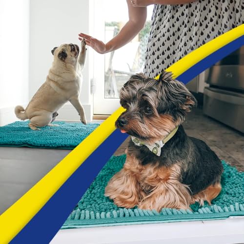 Super Water Absorbent Door Mat Indoor (Teal / 24" x 72")