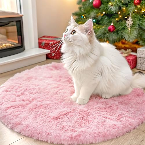 Pink Round Rugs for Bedroom (2 Ft Round / Pink)