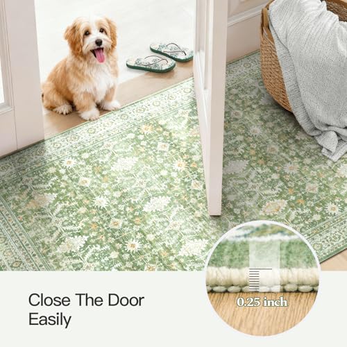 3x5 Area Rugs for Entryway (Light Green / 3' X 5' (Rectangular))