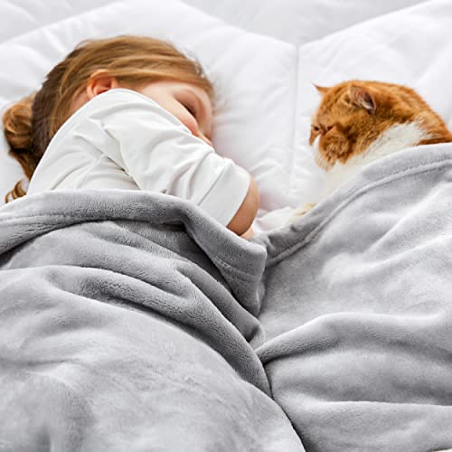 GentleSoft Bedding Fleece Blanket for Girls and Boys (Light Grey / Kids (43" x 55"))