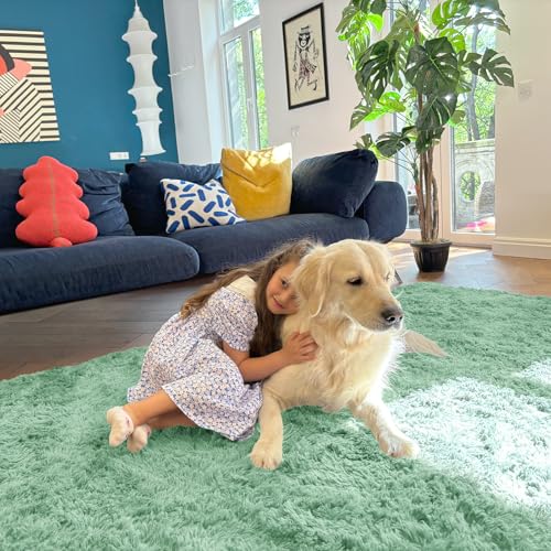 5x8 Machine Washable Large Area Rugs for Living Room (5x8 Ft / Mint Green)