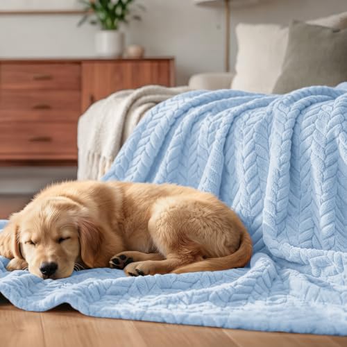 Soft Fleece Bed Blanket Twin Size (Light Blue / Twin ( 60x80 IN ))