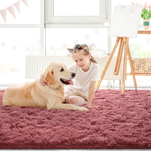 Area Rugs Fluffy Living Room Carpets for Kids Bedroom 4x5.3 (Blush / 4' x 5.3' (Rectangular))