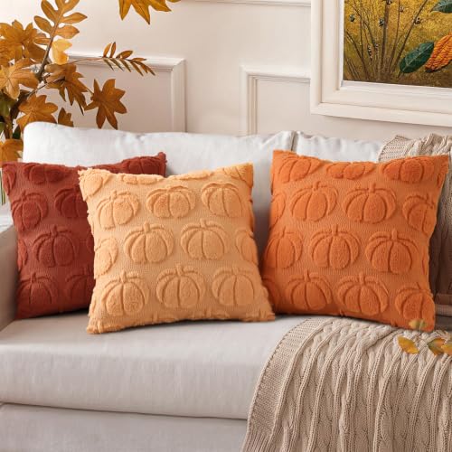 Fall Pumpkin Faux Fur Throw Pillow Covers 20x20 Set of 2 (Pumpkin / 20" x 20" (Pack of 2))