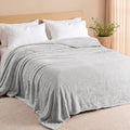 Fuzzy Plush Fleece Bed Blanket King Size (Light Grey / 104x90 IN)