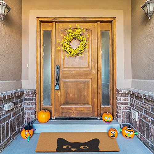 Door Mat Outdoor Indoor Welcome Mats (Cute Cat)