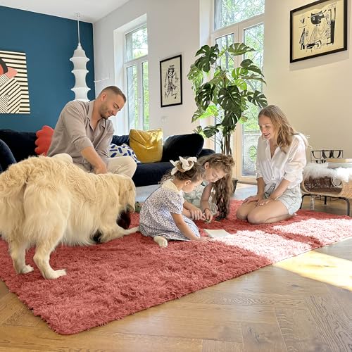 6x9 Machine Washable Large Area Rugs for Living Room (6x9 Ft / Rust Red)