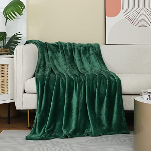 Forest Green Fleece Plush Throw Blanket 60"x80"for Couch Fuzzy Cozy Flannel (Green / Twin(60"×80"))