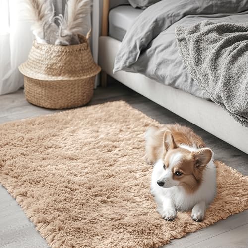 2x3 Machine Washable Small Bedside Rug (2x3 Ft / Beige)