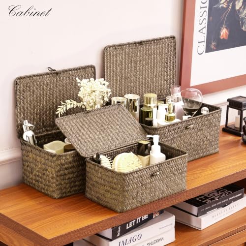 Wicker Storage Basket with Lid (Coffee* Set of 3)