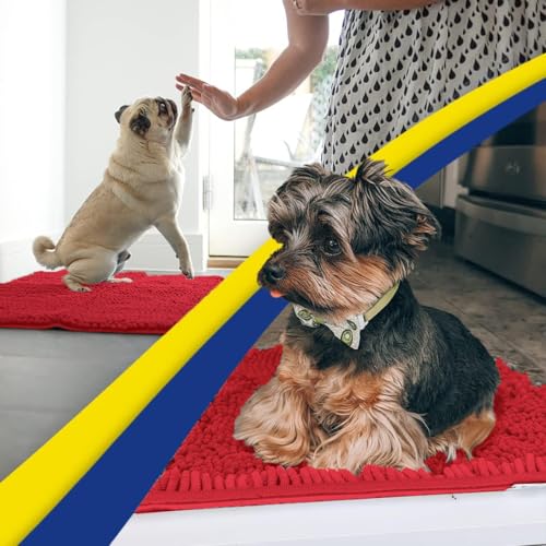 Super Water Absorbent Door Mat Indoor (Red / 3ft x 8ft)