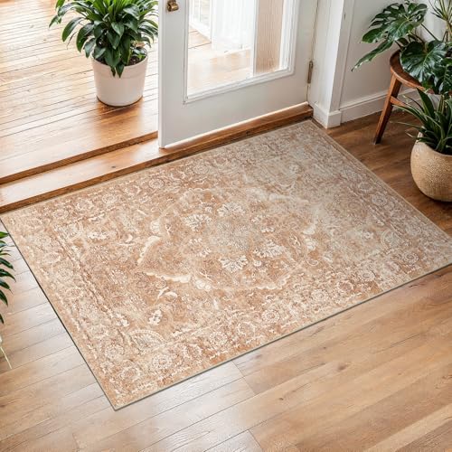 2x3 Washable Area Rug for Entryway (Brick / 2x3)