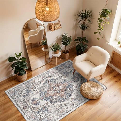 Washable 3x4 Entryway Area Rugs (3x4 / Brick)