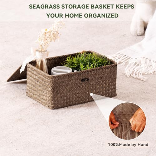 Small Wicker Basket with Lid (S-Coffee)