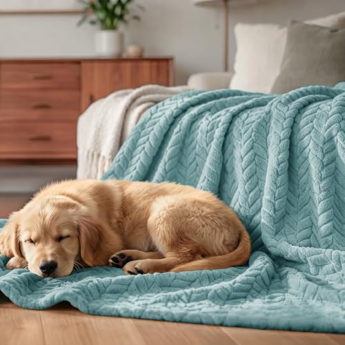 Soft Fleece Bed Blanket Twin Size (Celadon / Twin ( 60x80 IN ))