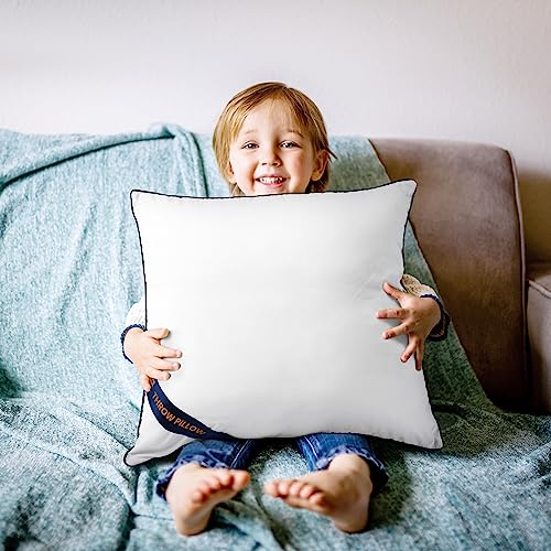 12x12 Throw Pillow Inserts (12x12 Inch)