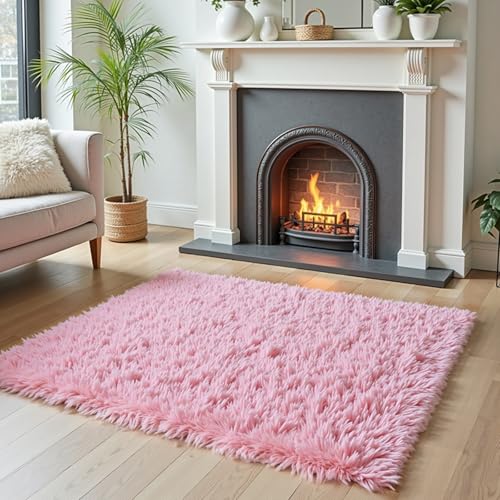 Small Shag Area Rug for Bedroom (Pink / 2' x 3' (Rectangular))