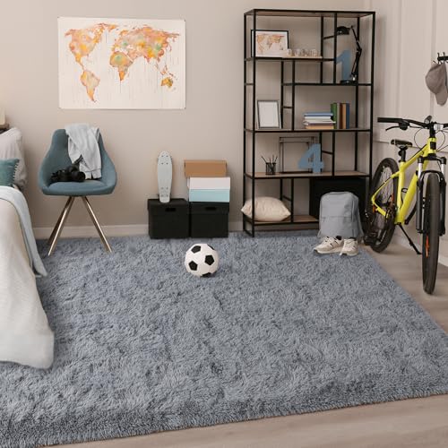 Soft Area Rugs for Bedroom Living Room Plush Fluffy Rug 5x8 (Grey / 5' x 8' (Rectangular))