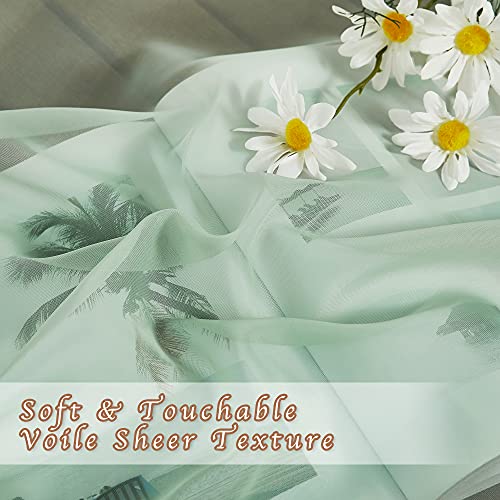 Sage Green Sheer 120 inch Long Curtains Voile Textured (Sage Green / 54"W x 120"L (Pack of 2))
