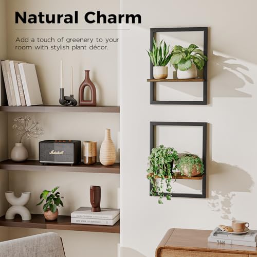 Wall Plant Holder Hanging Planters for Indoor Plants Frames Decor