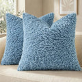 Sherpa Decorative Throw Pillow Covers 22x22 Set of 2 Light Blue (Light Blue / 22" x 22" (Pack of 2))