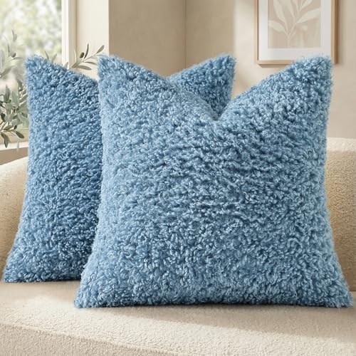Sherpa Decorative Throw Pillow Covers 22x22 Set of 2 Light Blue (Light Blue / 22" x 22" (Pack of 2))