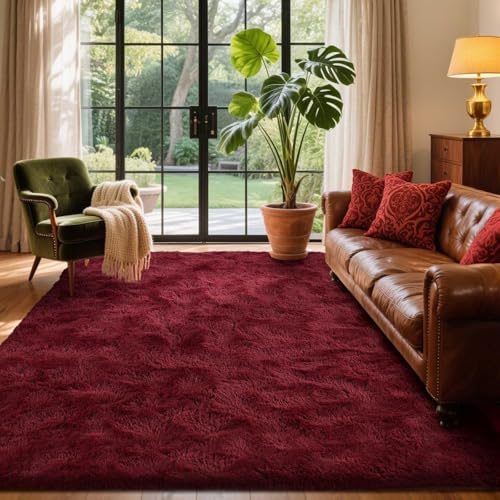 Area Rugs for Living Room (Ad Burgundy / 4' X 6' (Rectangular))