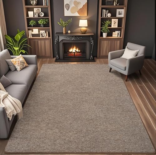 4x6 Area Rugs for Living Room Non Slip Dorm Bedroom Rug (4' x 6' (Rectangular) / Matte Brown)