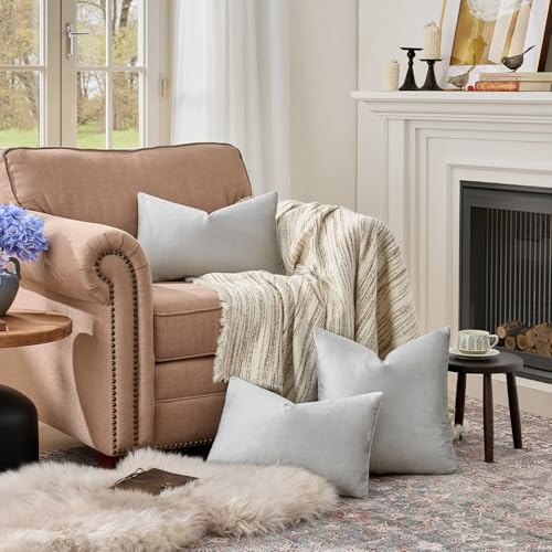 Silver Grey Velvet Throw Pillow Covers 12x20 Pack of 2 (Silver Grey / 20" x 12" (Pack of 2))