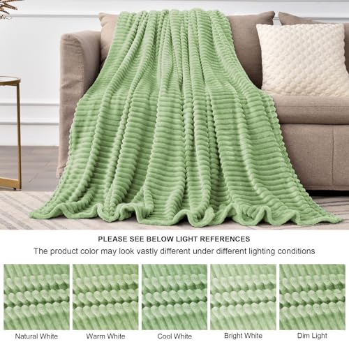 3D Ribbed Apple Green Fleece Twin Blanket for Couch (Apple Green / Twin(60"x80"))