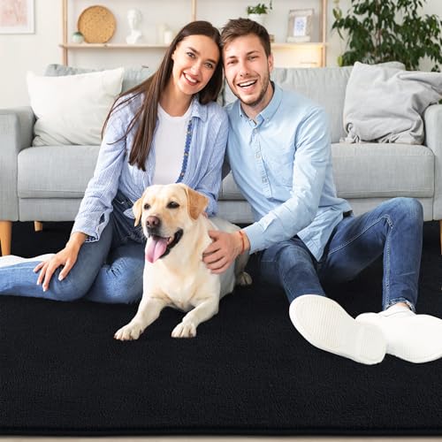 6x9 Area Rugs for Living Room Non Slip Dorm Bedroom Rug (6' x 9' (Rectangular) / Black)