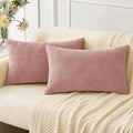 Soft Chenille Lumbar Throw Pillow Covers Blush Pink 12x20 Pack of 2 (20" x 12" (Pack of 2) / Blush Pink)