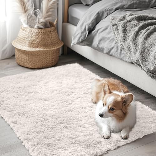 2x2 Machine Washable Small Rug (2×2 Ft Square / Ivory)