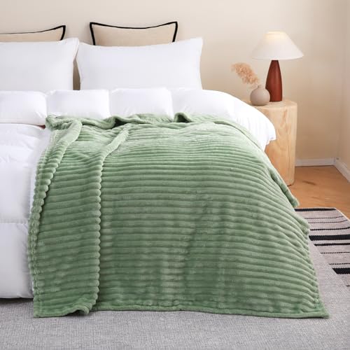 Sage Green Fleece Throw Blanket 50”×60” for Couch Sofa Livingroom (Sage Green / 50×60inch)