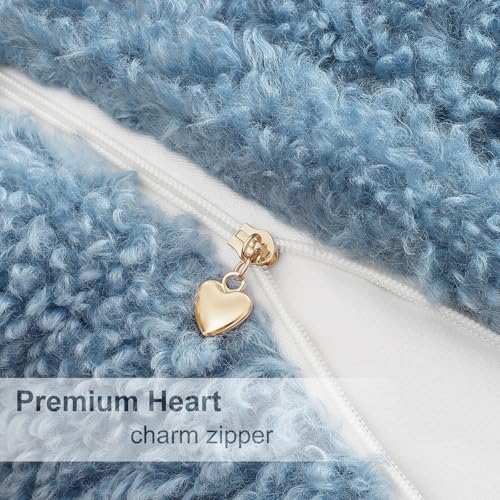 Sherpa Decorative Throw Pillow Covers 22x22 Set of 2 Light Blue (Light Blue / 22" x 22" (Pack of 2))