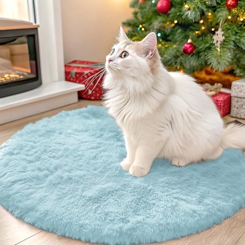 Light Blue Round Rugs for Bedroom (2 Ft Round / Light Blue)