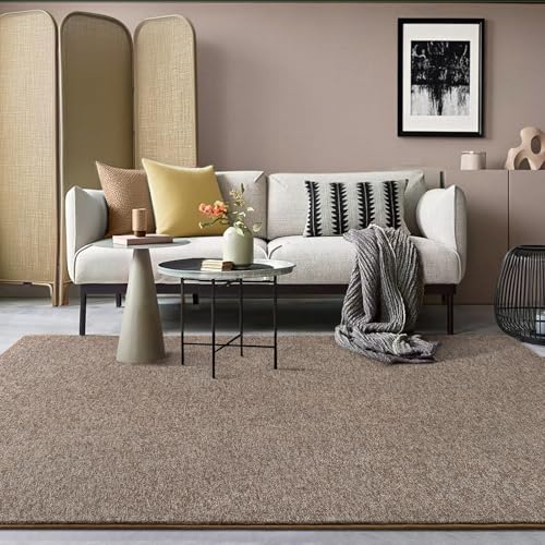 4x6 Area Rugs for Living Room Non Slip Dorm Bedroom Rug (4' x 6' (Rectangular) / Matte Brown)