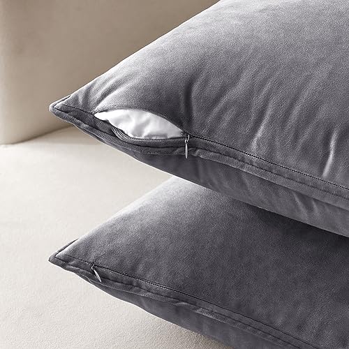 Decorative Dark Grey Velvet Euro Sham Throw Pillow Covers 24x24 Inch (24" x 24" (Pack of 2) / Dark Grey)